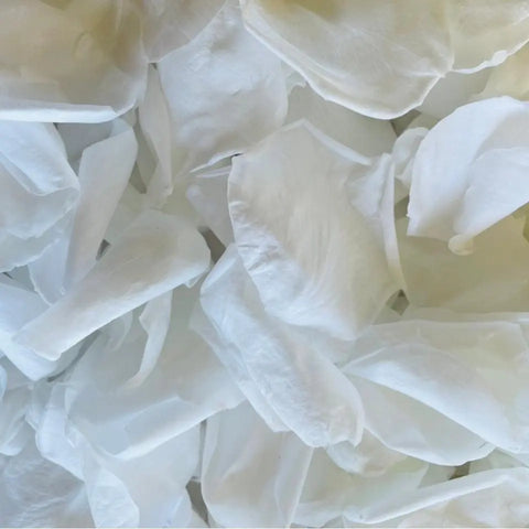 Freeze Dried Rose Petals - White - My Wedding Store 