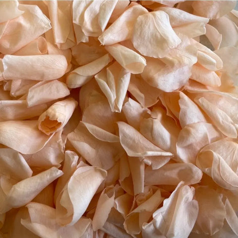 Freeze Dried Rose Petals - Light Apricot - My Wedding Store 