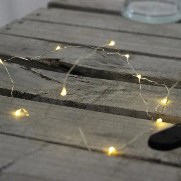 Seed LED Lights, Warm White - 2 Metres (1 pce) - limited stock